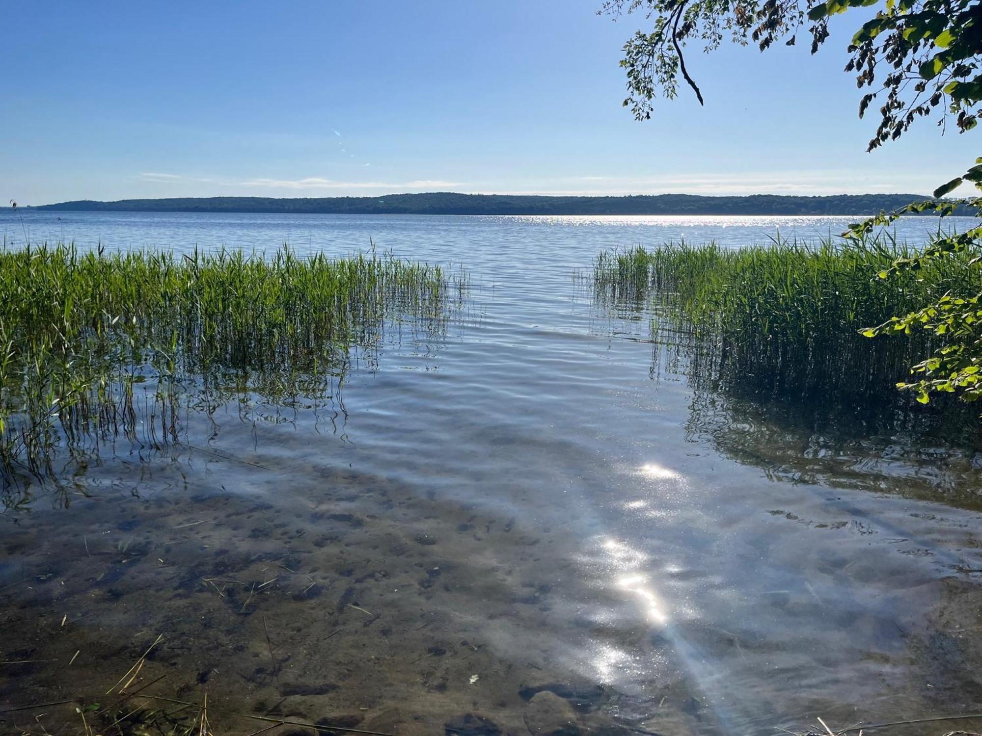 Pfarrhaus Tollensesee Penzlin Kültér fotó
