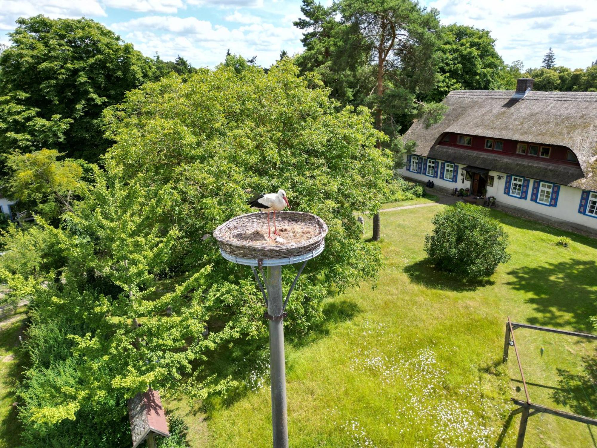 Pfarrhaus Tollensesee Penzlin Kültér fotó